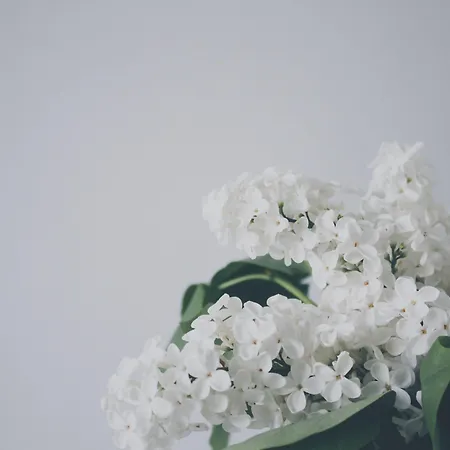 Adel Private Ξενοδοχείο 4*