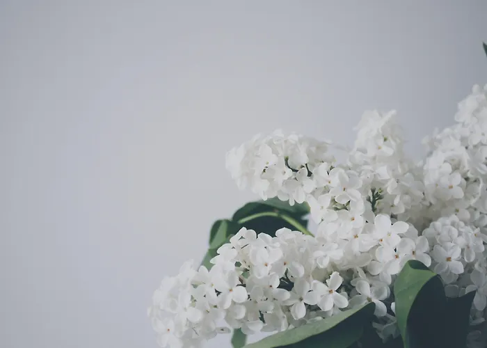 Adel Private Hotel 4*